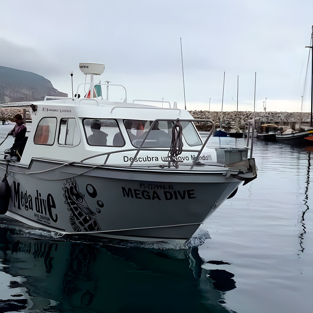 Sesimbra Marine Reserve Exploration Dive