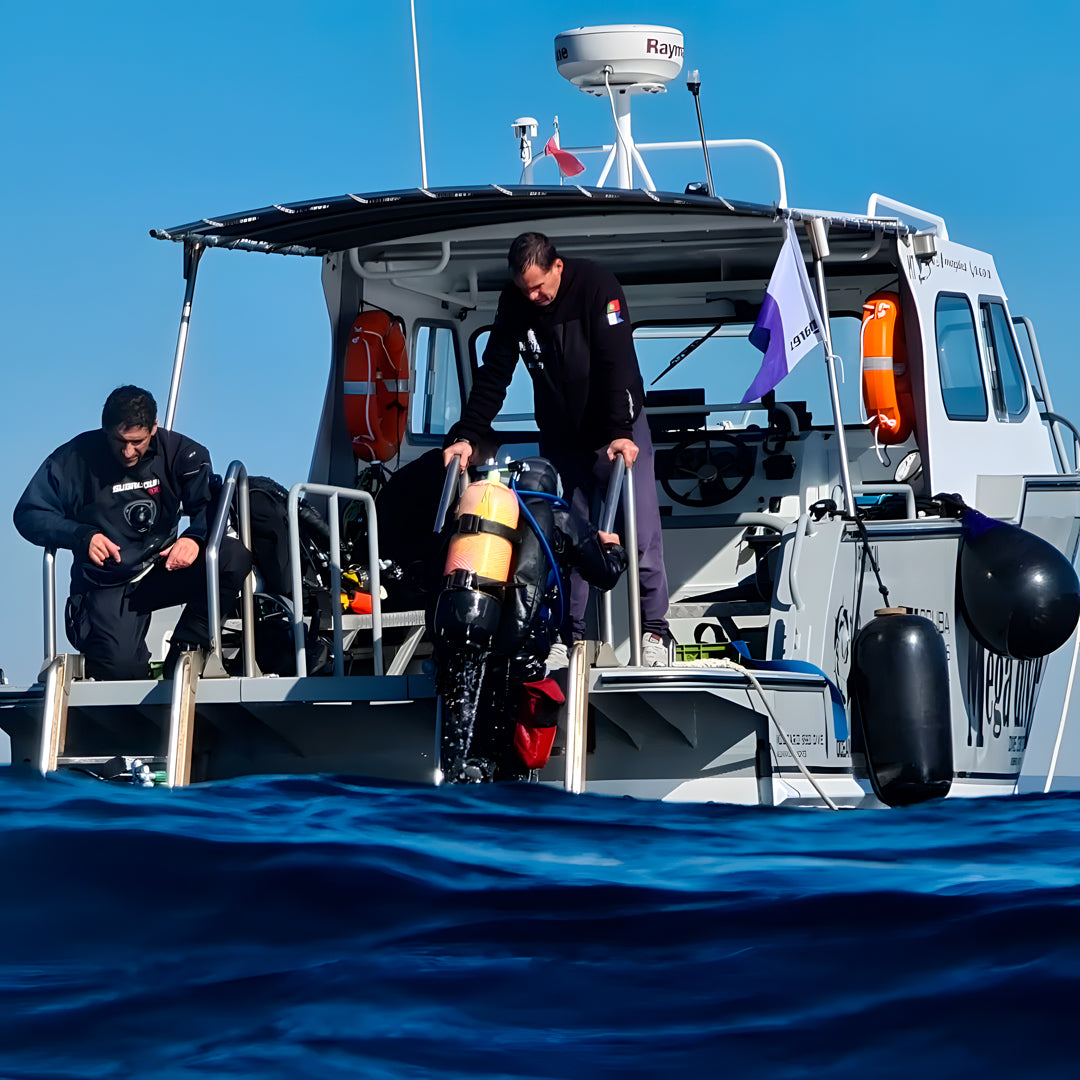 Try Scuba Diving in Sesimbra