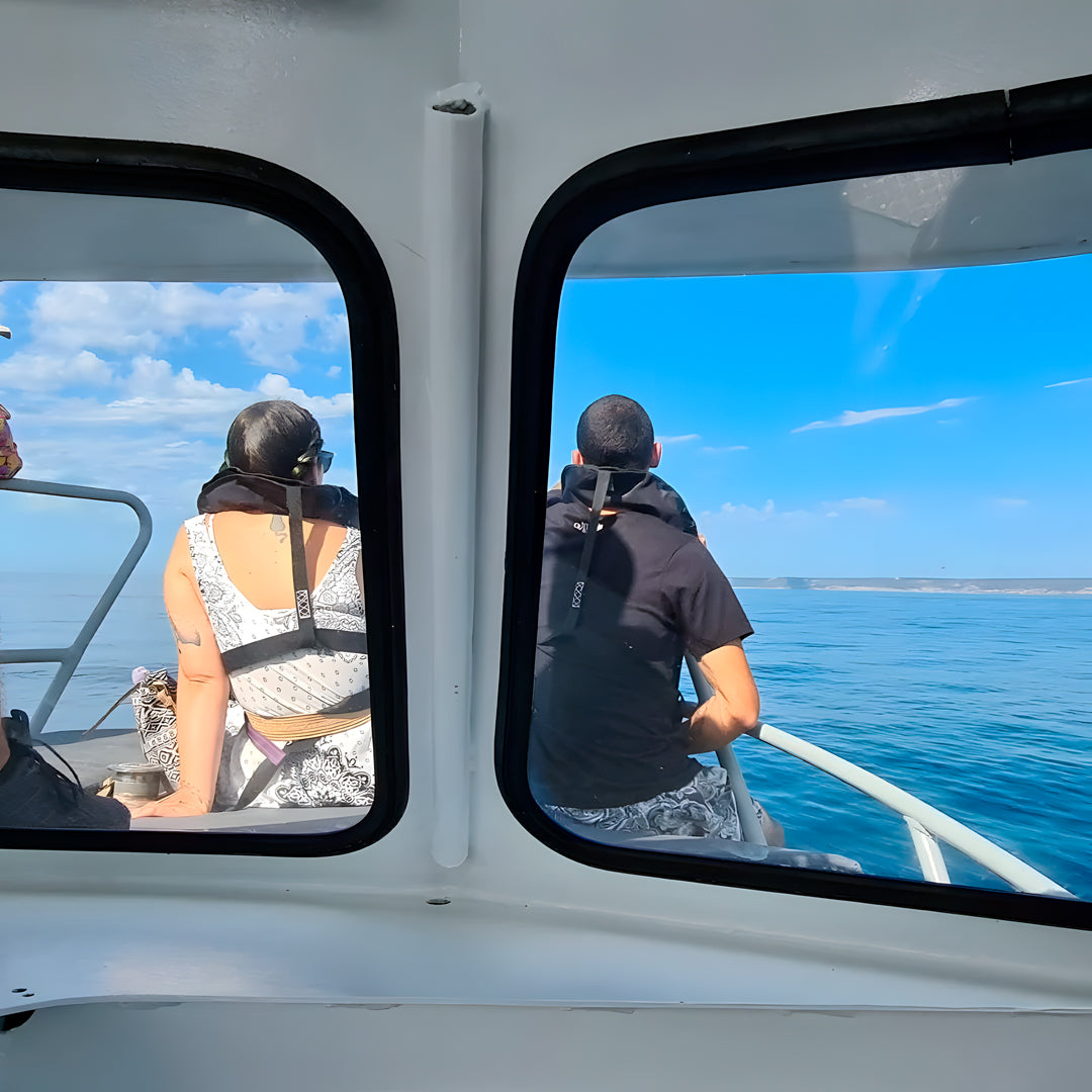 Marine Park Guided Snorkeling Experience