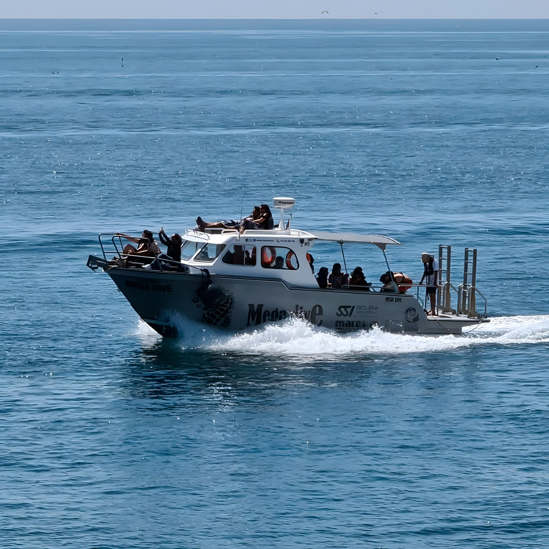 Open Water Scuba Diving Course