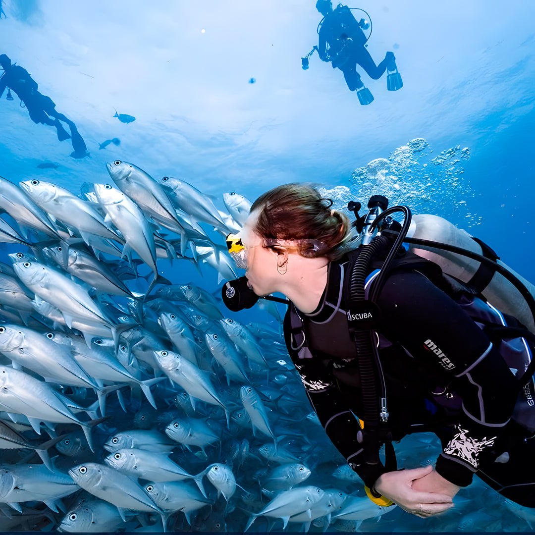 Koh Tao Introductory Diving Program Member Diving