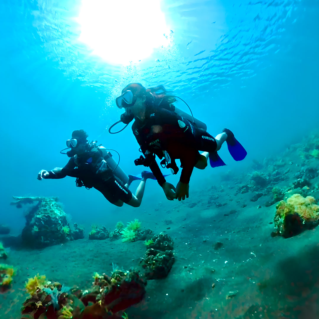 USAT Liberty Shipwreck Beginner Dive