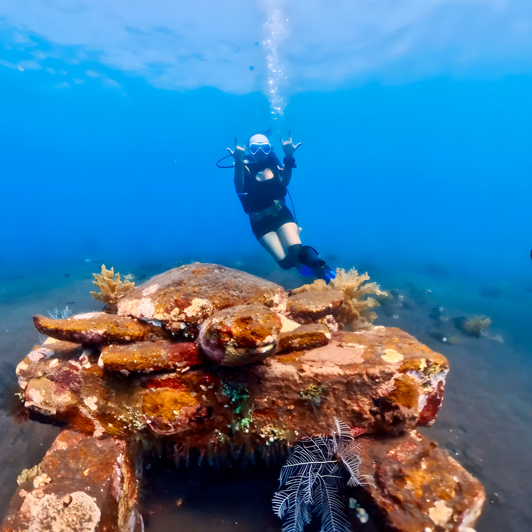 USAT Liberty Shipwreck Beginner Dive