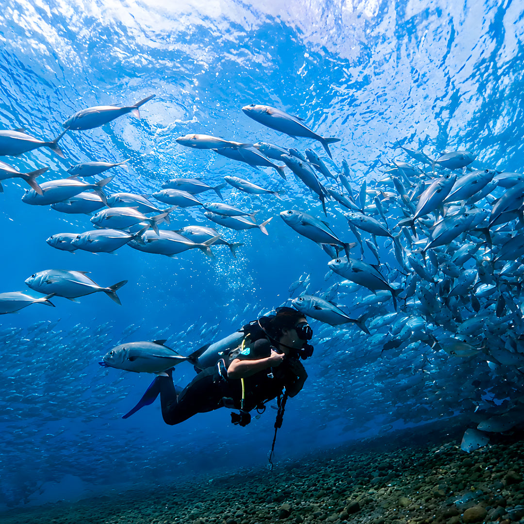 USAT Liberty Shipwreck Beginner Dive