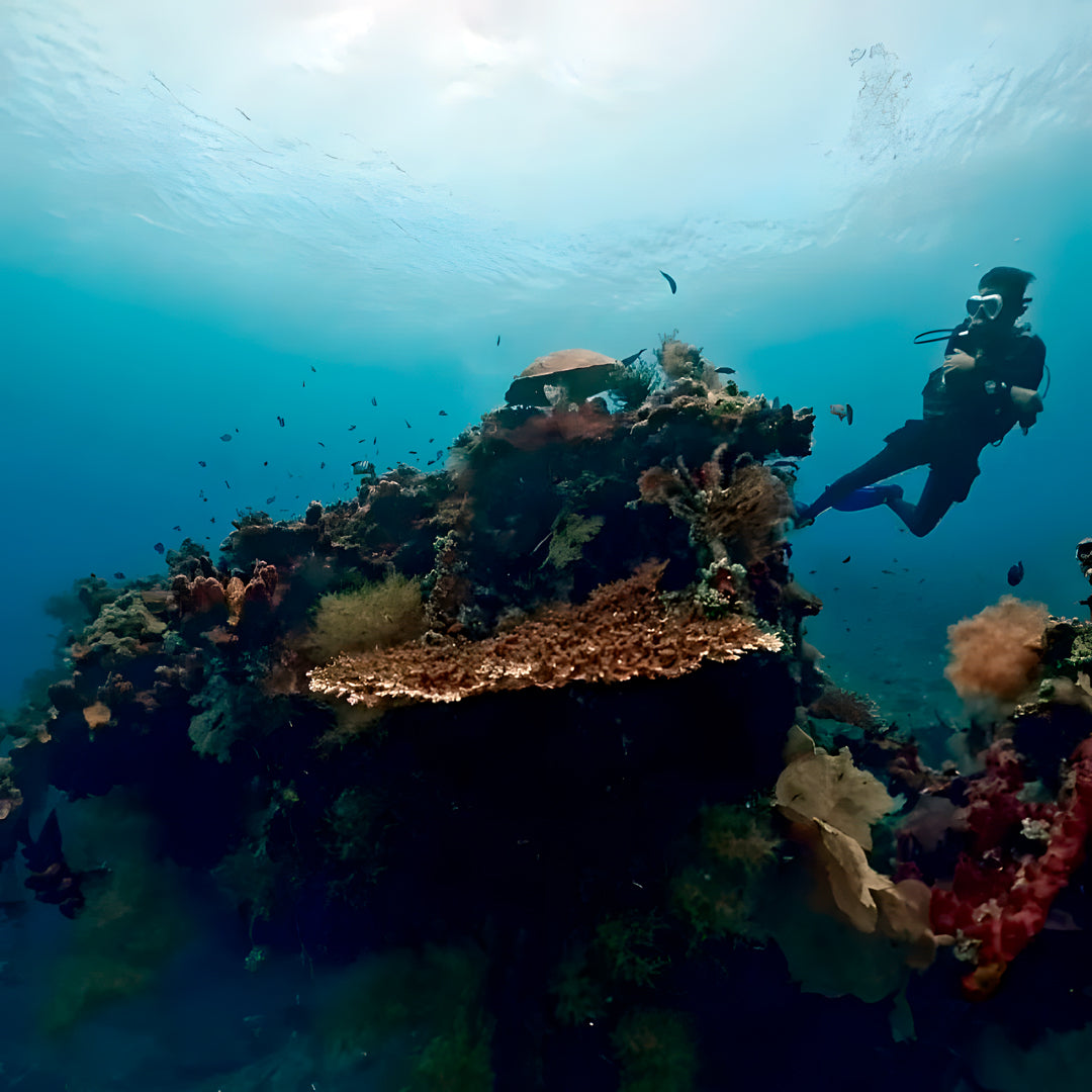 USAT Liberty Shipwreck Beginner Dive