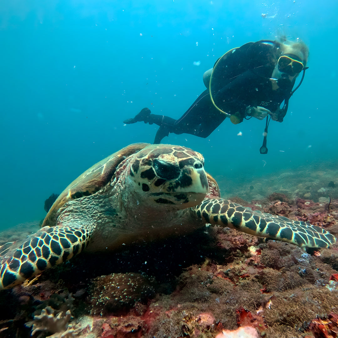 PADI Enriched Air Nitrox Diver Course in Padang Bai