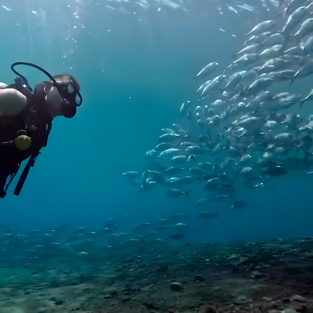 East Bali Scuba Diving Trip