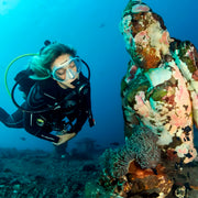 Bali Macro Scuba Diving Trip