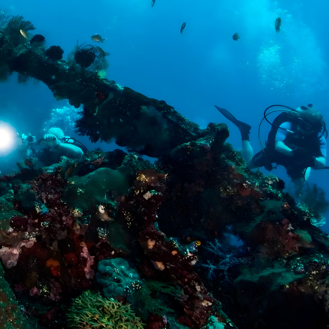 East Bali Scuba Diving Trip