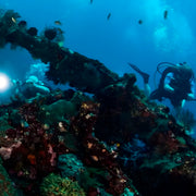 Bali Wreck Scuba Diving Trip