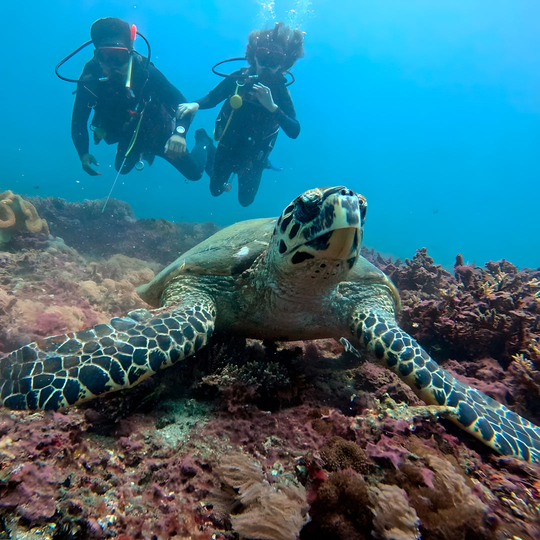 East Bali Scuba Diving Trip