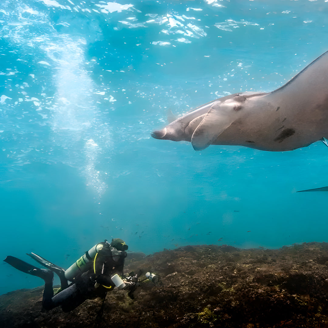 East Bali Scuba Diving Trip