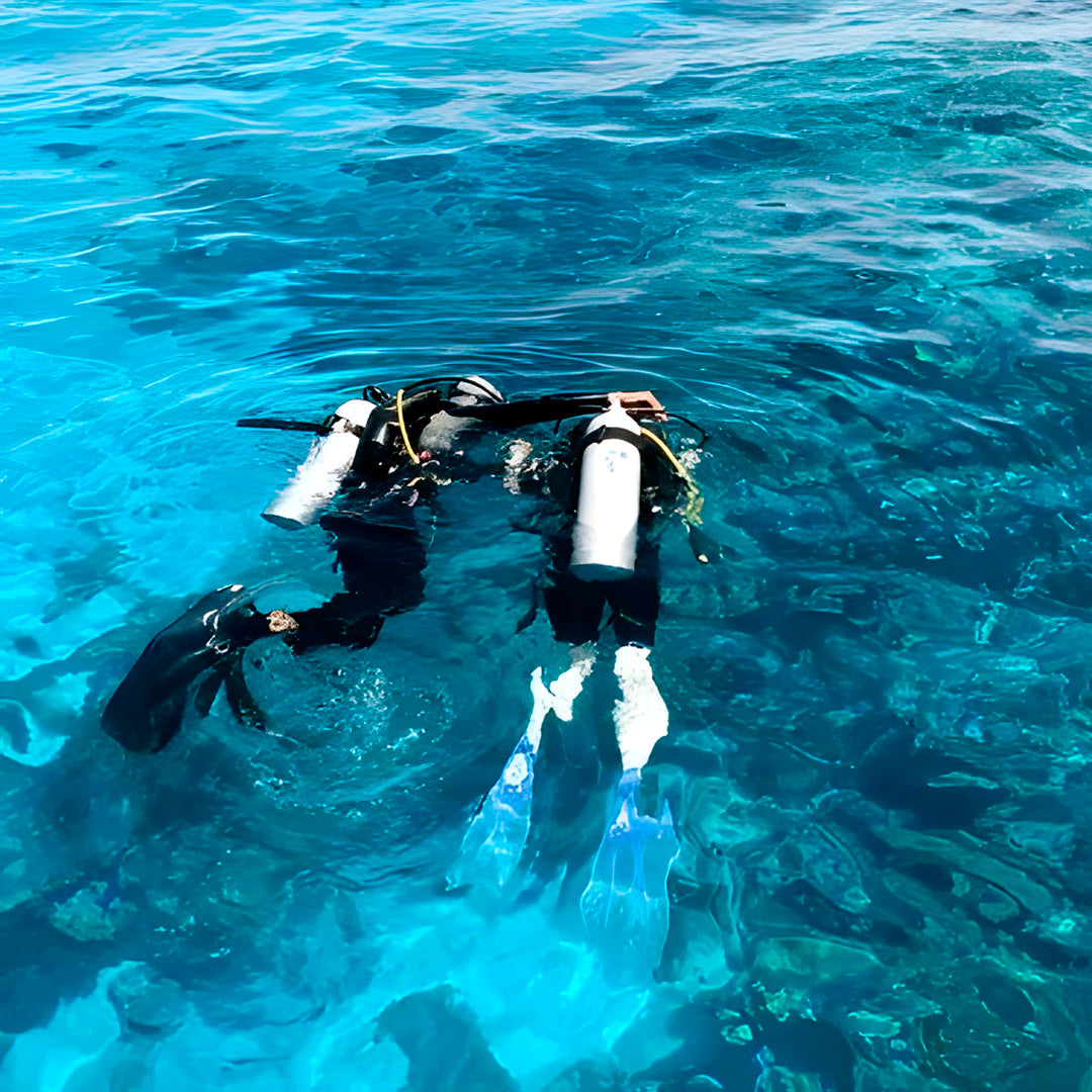 East Bali Scuba Diving Trip