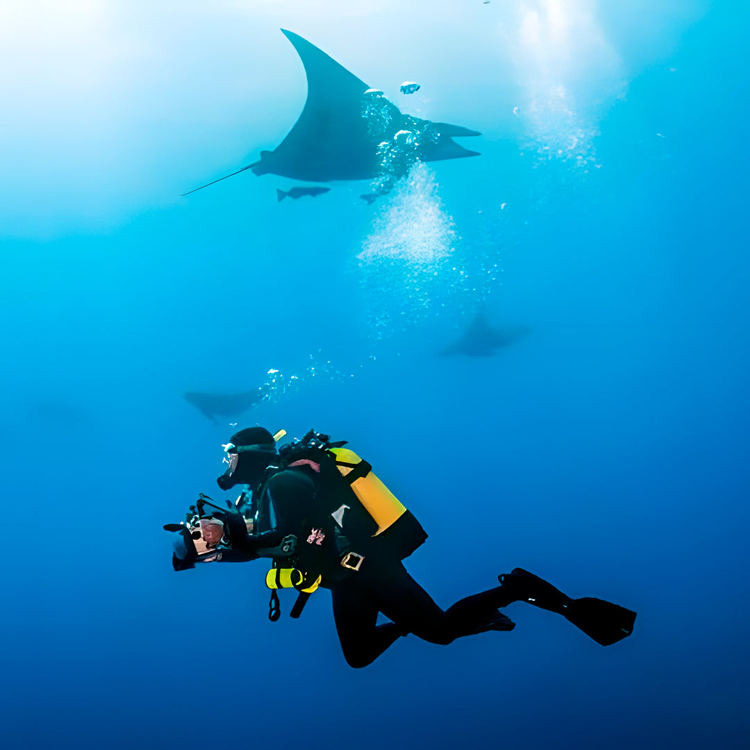 Graciosa Island Discovery Scuba Dive