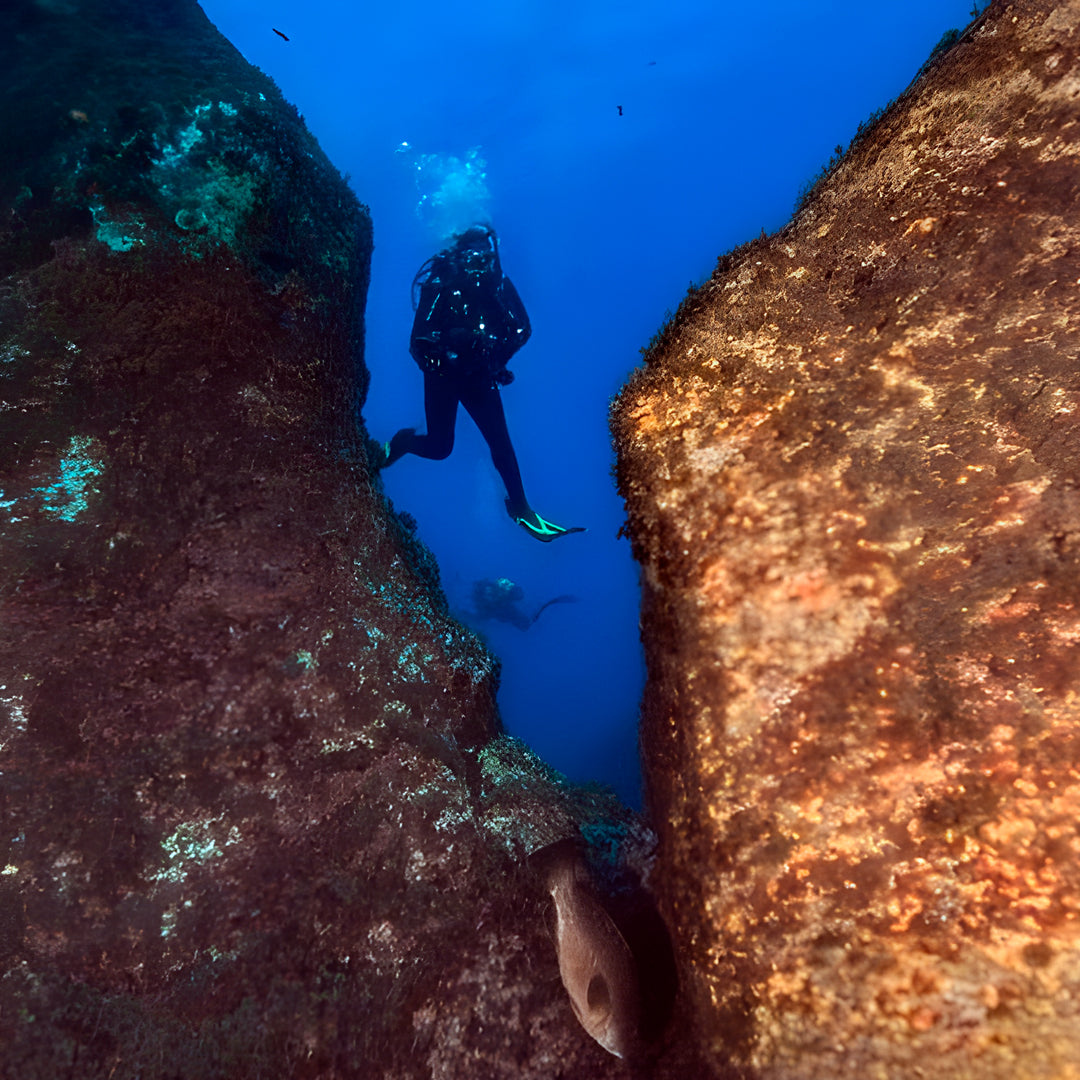 Lisbon Scuba Diving Trip