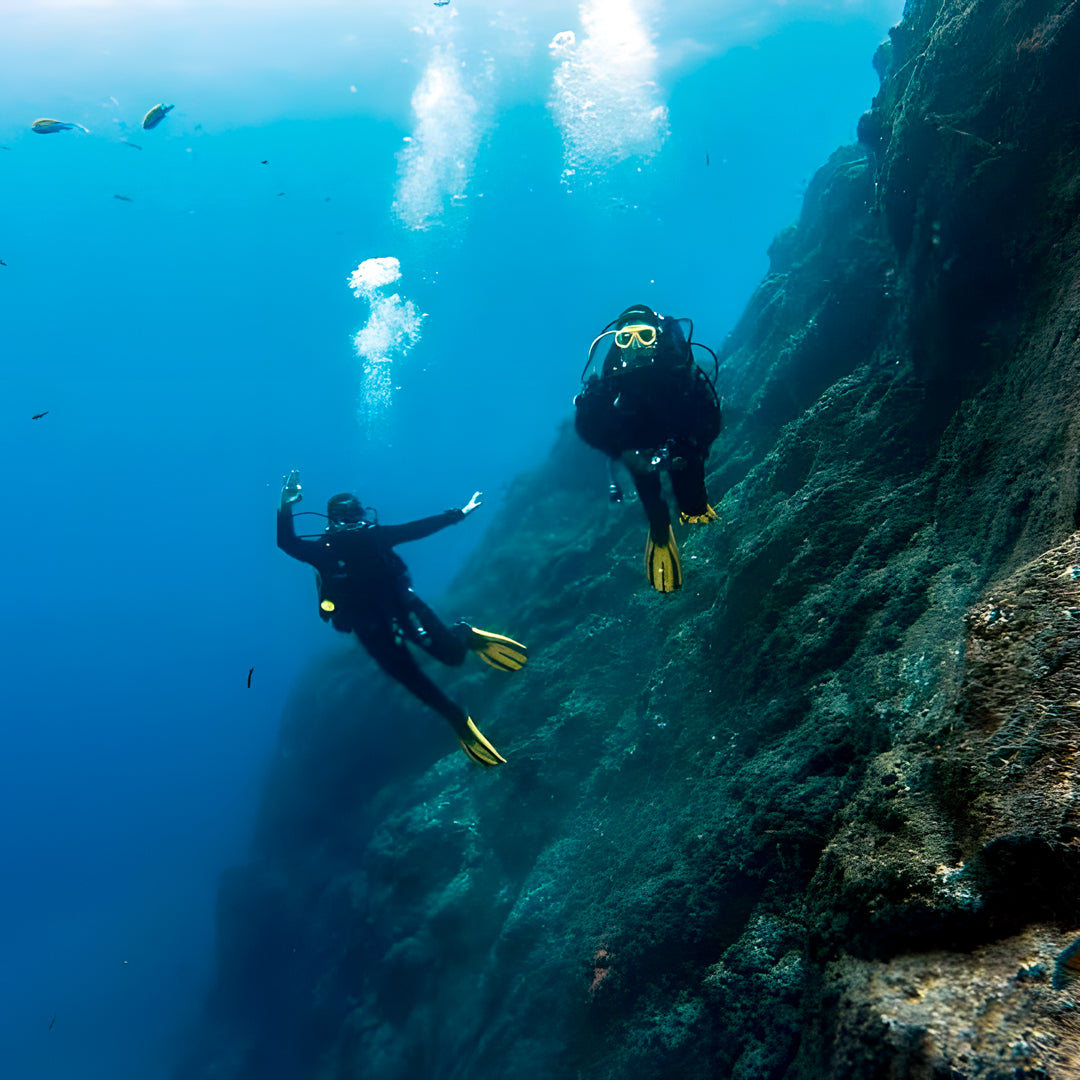 Azores São Miguel Island Scuba Diving Trip