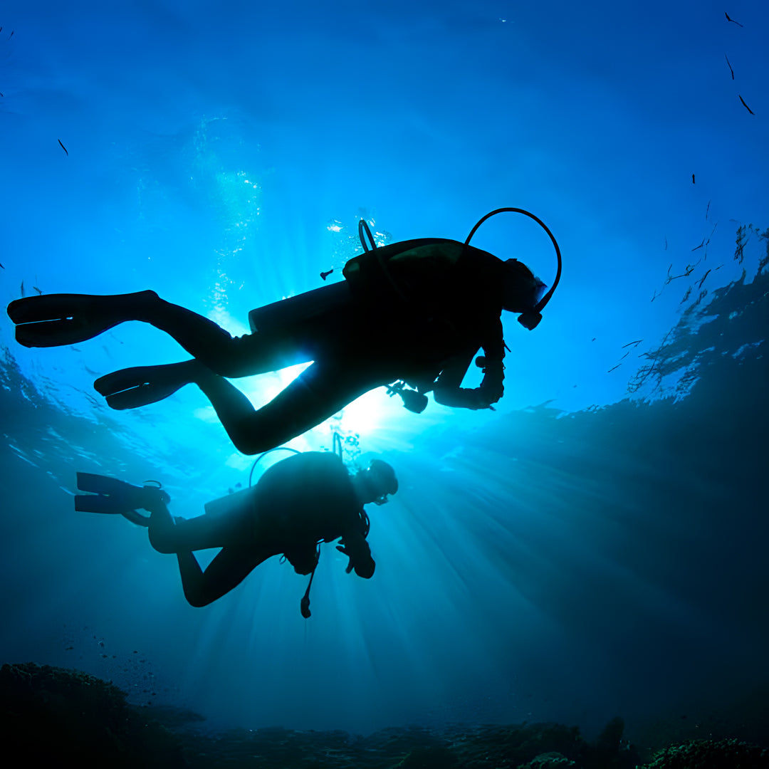 Madeira Island Scuba Diving Trip