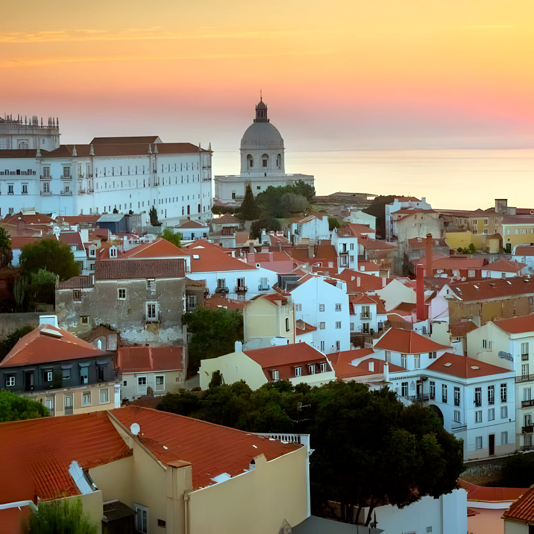 Lisbon Scuba Diving Trip