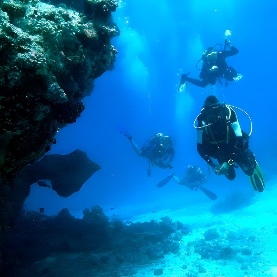 Lisbon Scuba Diving Trip