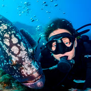 Madeira Island Scuba Diving Trip