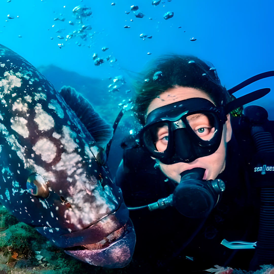 Sao Miguel Discovery Scuba Dive