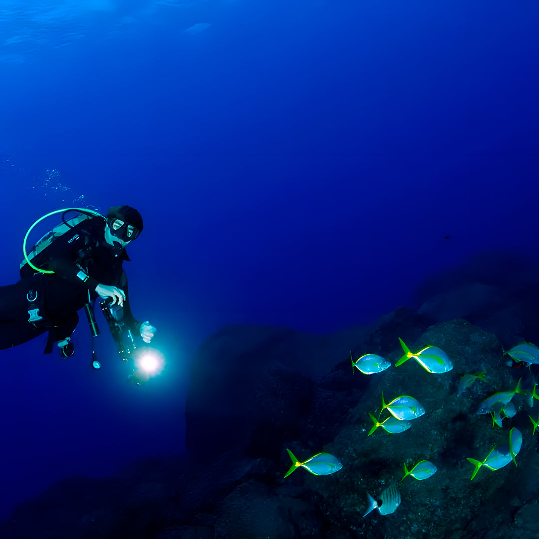 Lisbon Scuba Diving Trip