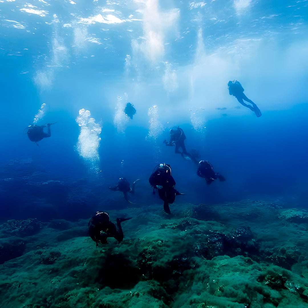 Madeira Island Scuba Diving Trip
