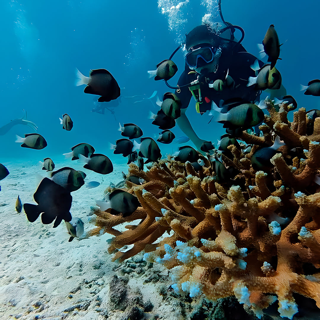 Racha Yai Island Scuba Diving Fun Dive SSS Phuket & Dive Surf Center