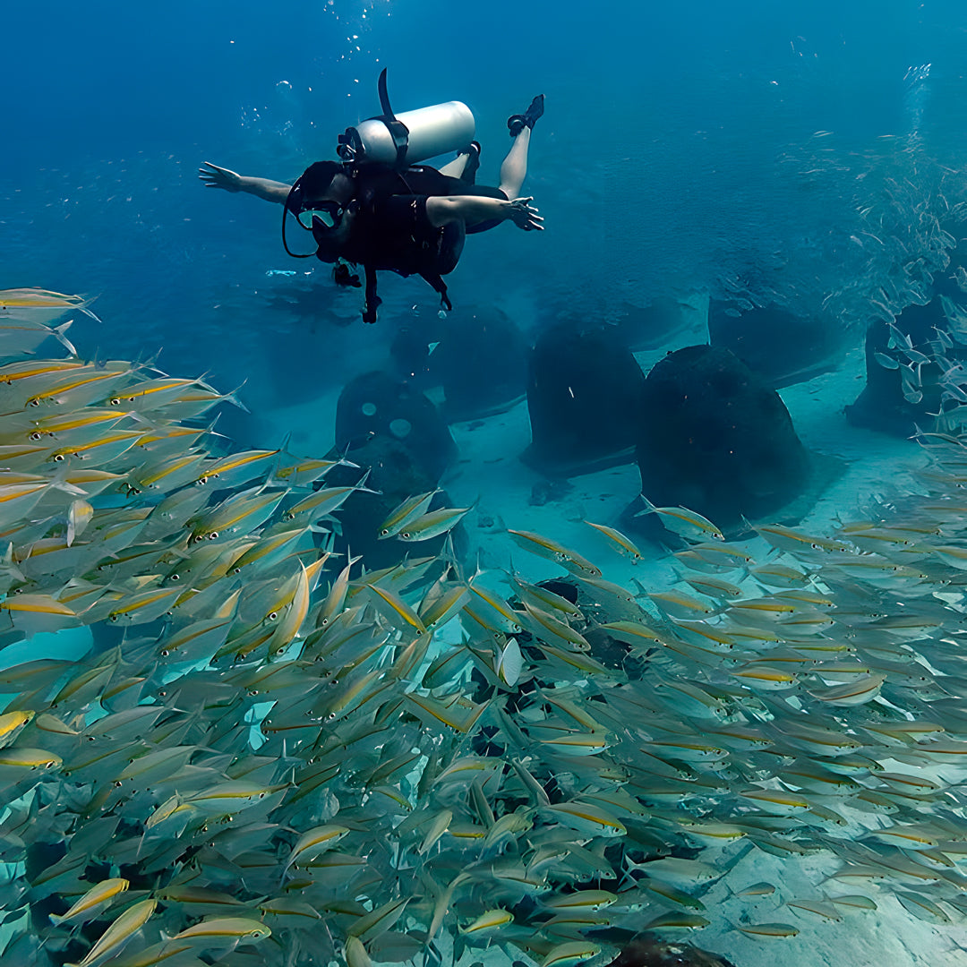 Phi Phi Island Spectacular Fun Dive SSS Phuket & Dive Surf Center