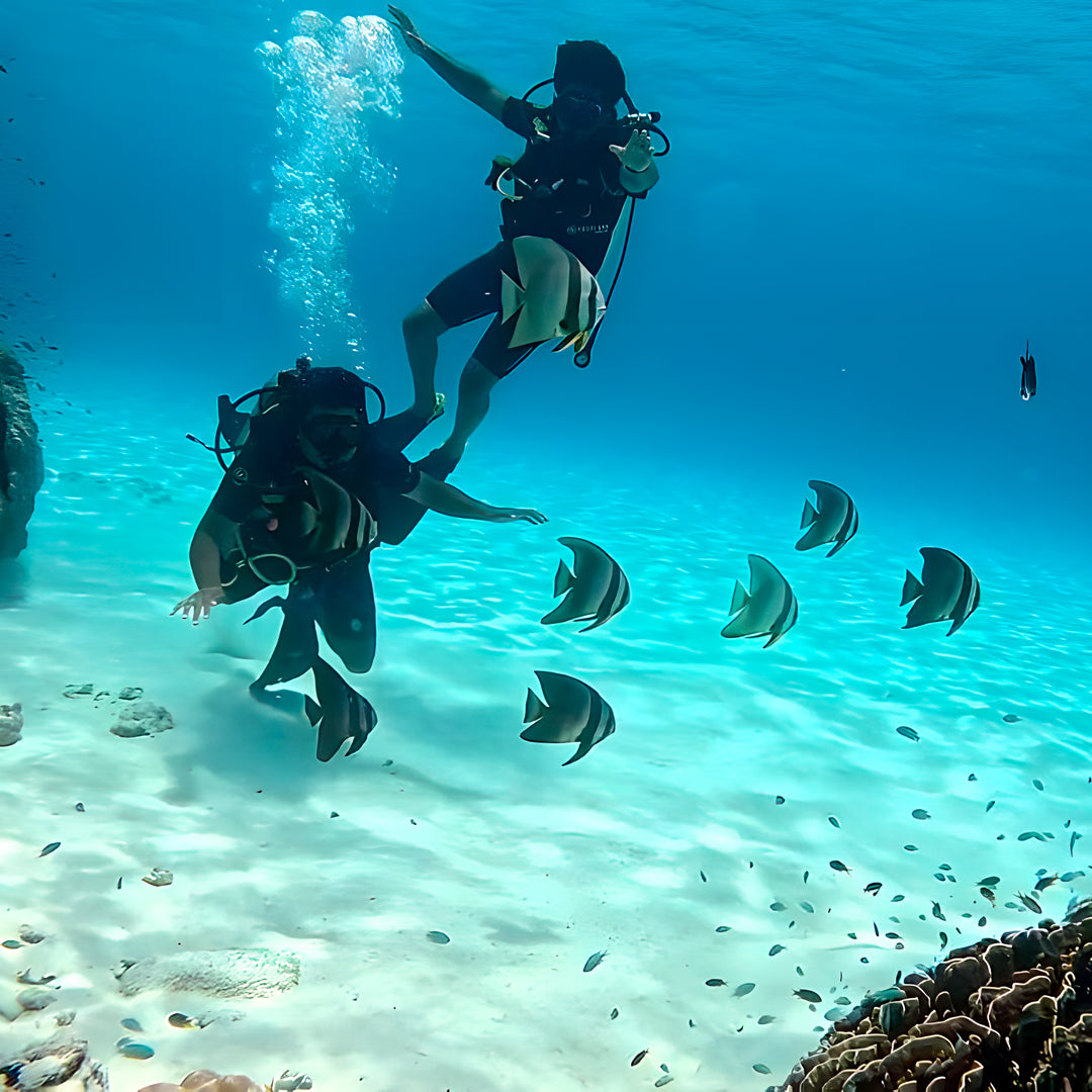 Racha Yai Island Scuba Diving Fun Dive SSS Phuket & Dive Surf Center