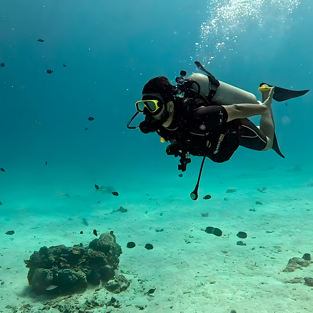 Phi Phi Island Spectacular Fun Dive SSS Phuket & Dive Surf Center