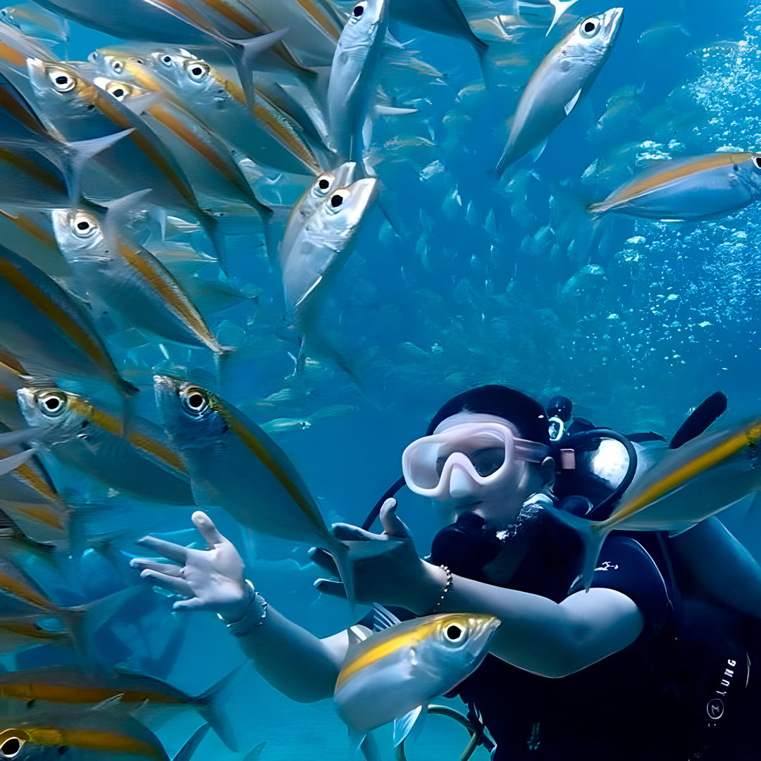 Racha Yai Island Scuba Diving Fun Dive SSS Phuket & Dive Surf Center