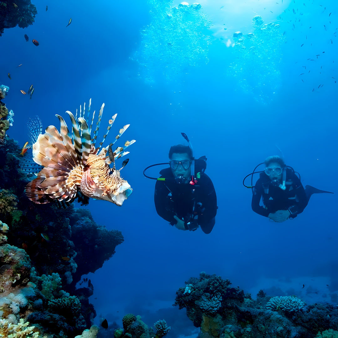 Racha Yai Island Scuba Diving Fun Dive SSS Phuket & Dive Surf Center