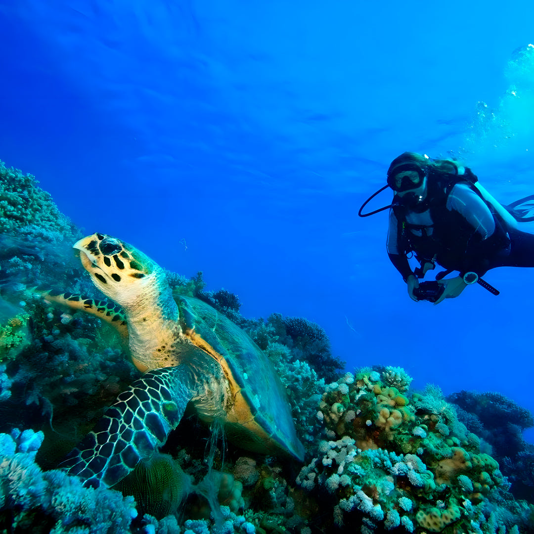 Racha Yai Island Scuba Diving Fun Dive SSS Phuket & Dive Surf Center