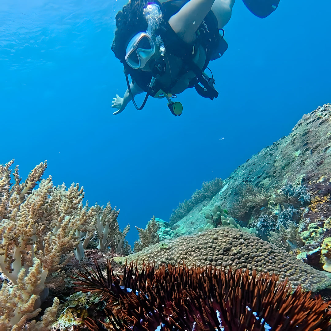 Racha Yai Island Scuba Diving Fun Dive SSS Phuket & Dive Surf Center