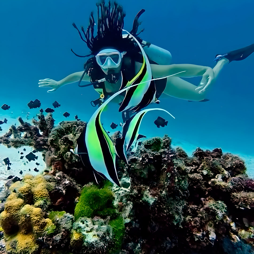 Phi Phi Island Spectacular Fun Dive