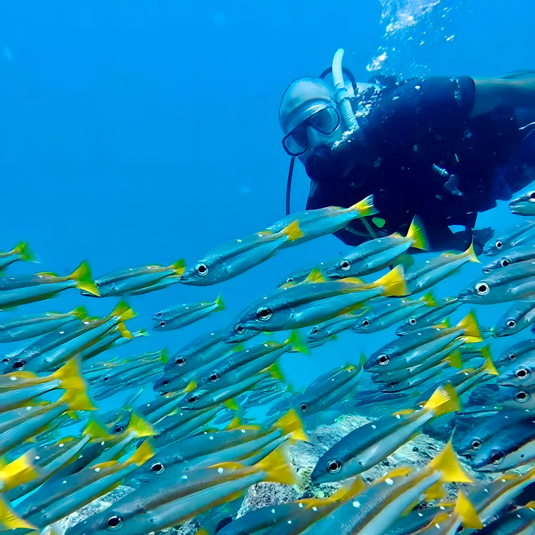 Racha Yai Island Scuba Diving Fun Dive SSS Phuket & Dive Surf Center