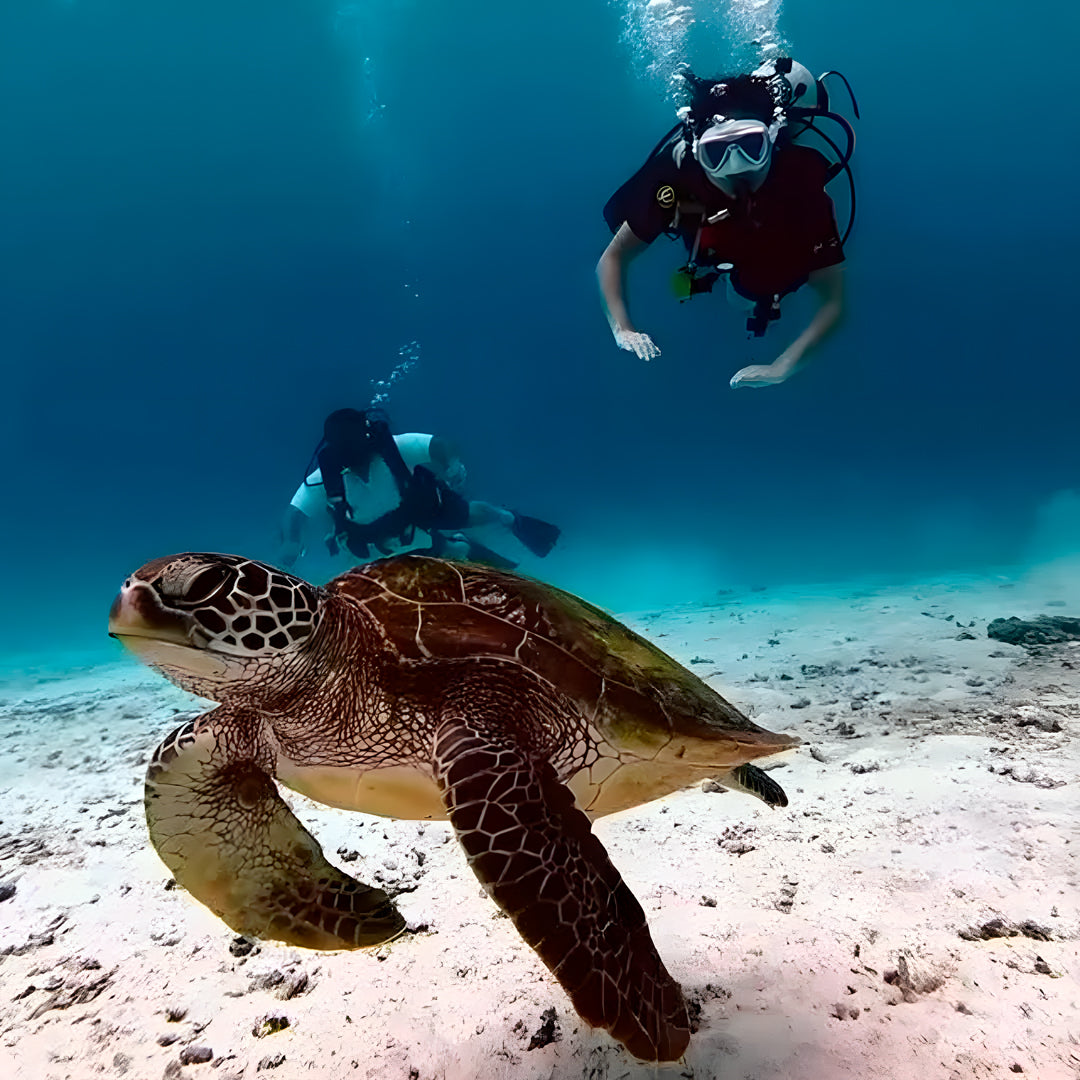 Racha Yai Island Scuba Diving Fun Dive SSS Phuket & Dive Surf Center