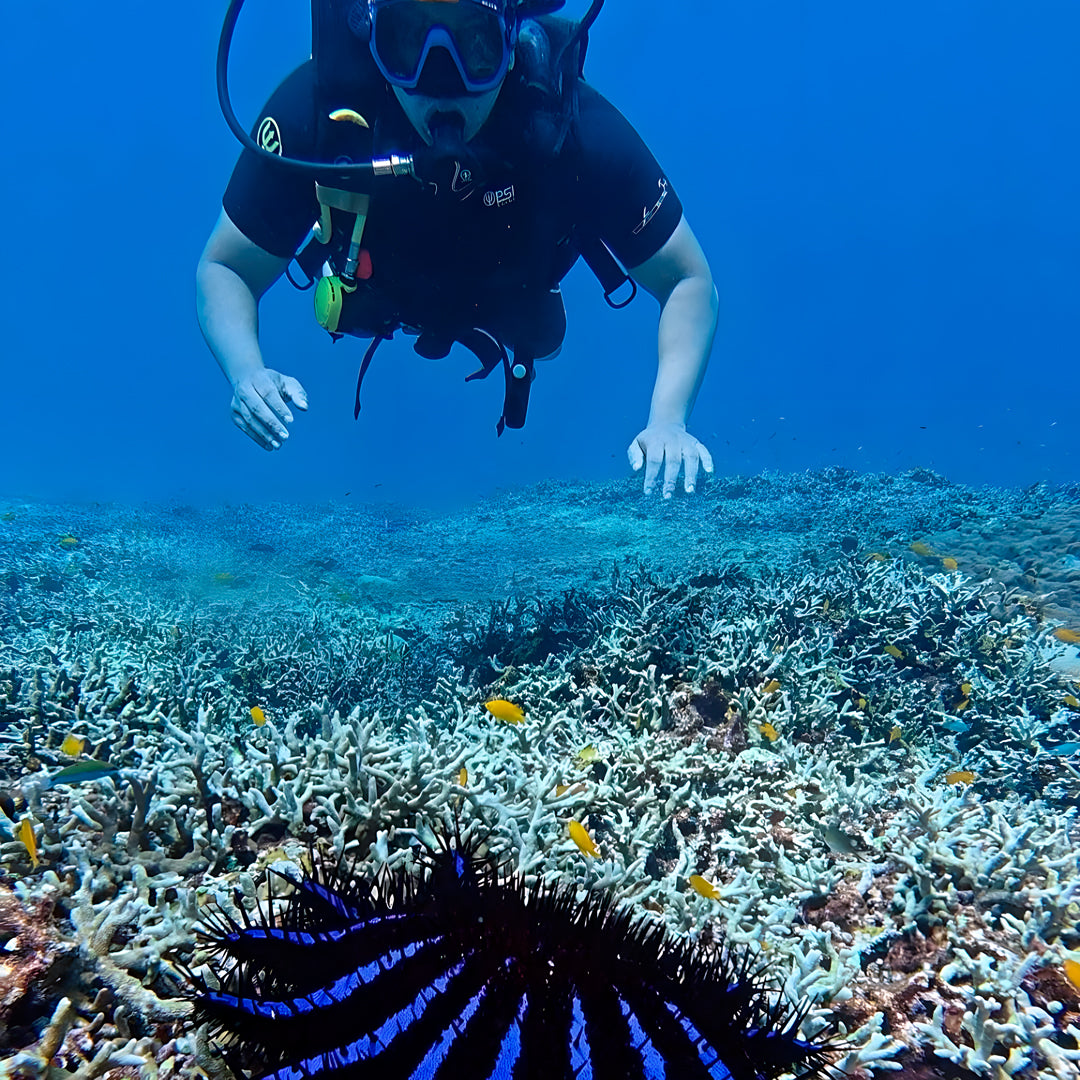 Racha Yai Island Scuba Diving Fun Dive SSS Phuket & Dive Surf Center