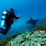 Nusa Penida Scuba Diving Fun Dive