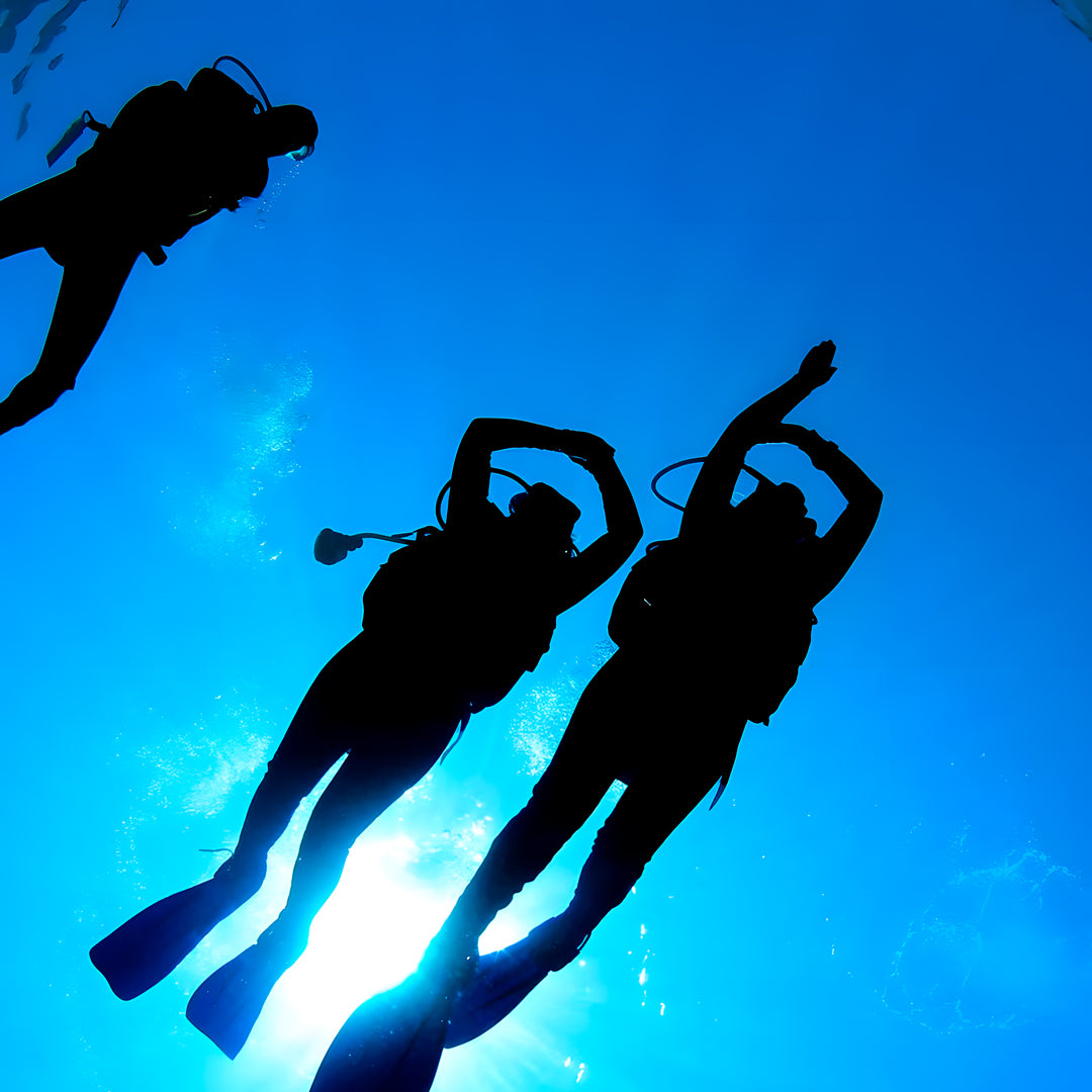 Beginner Scuba Diver Course in Port Douglas