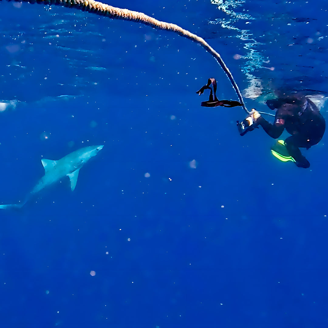 Beginner Scuba Diver Course in Port Douglas