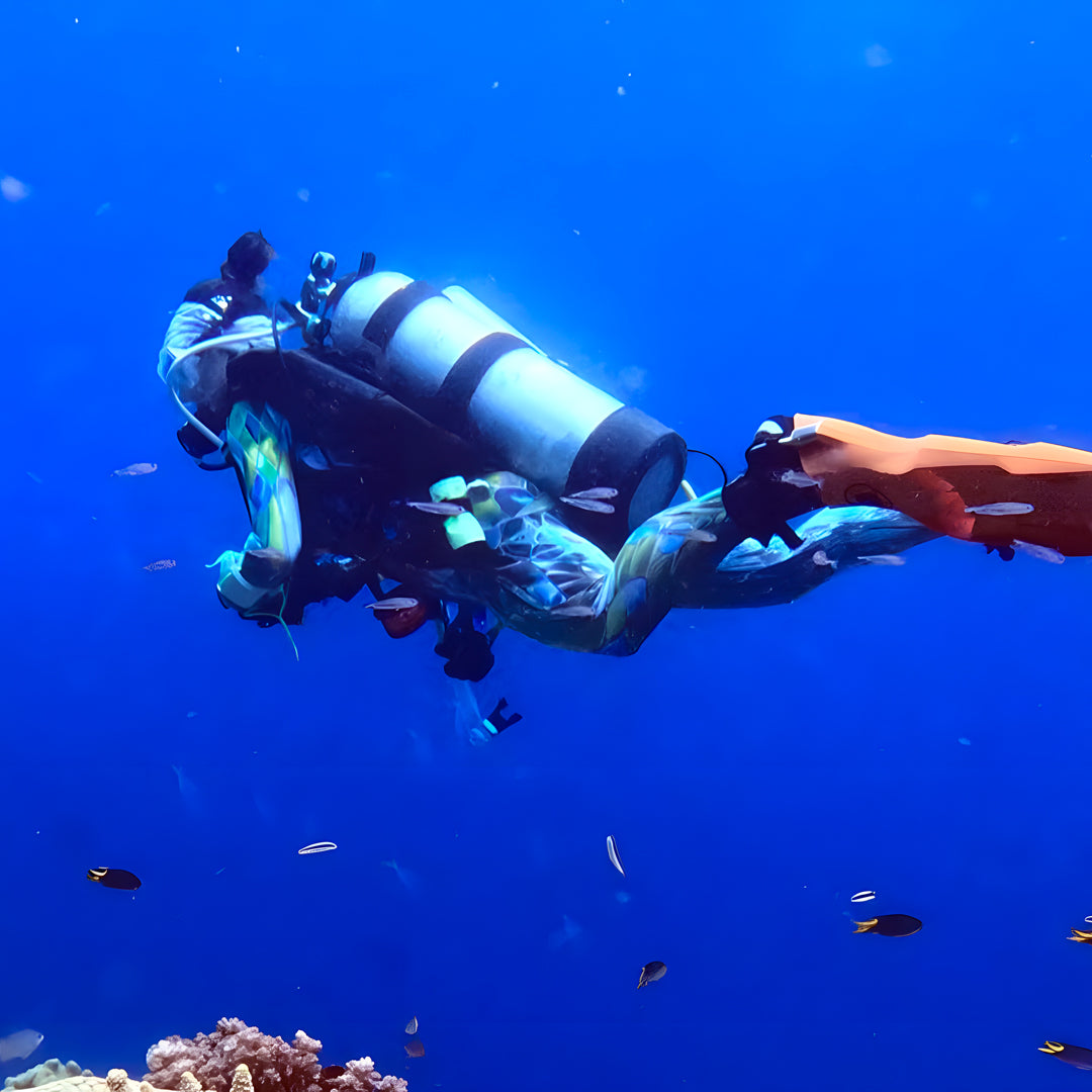 Beginner Scuba Diver Course in Port Douglas