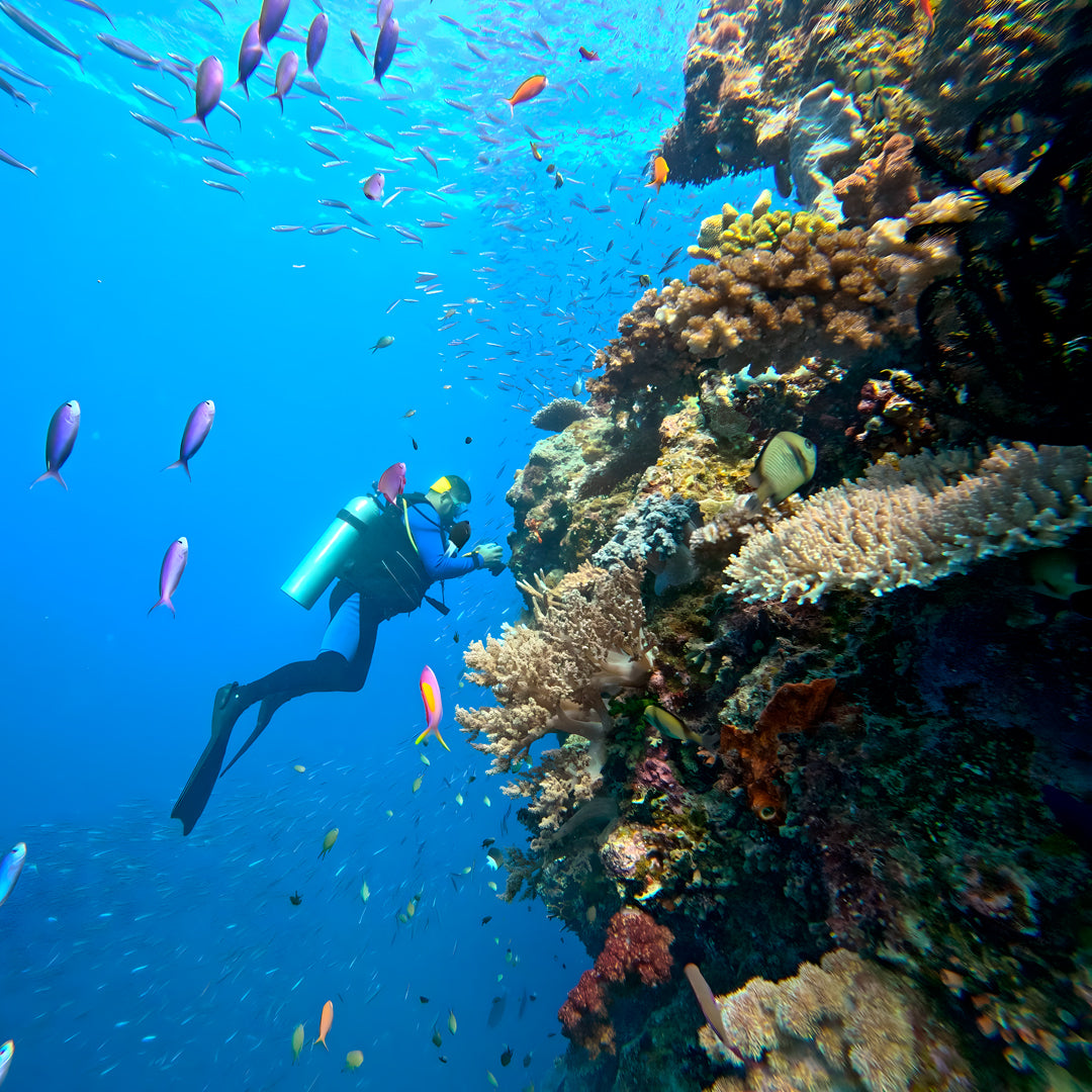 Open Water Scuba Diver Course in Port Douglas