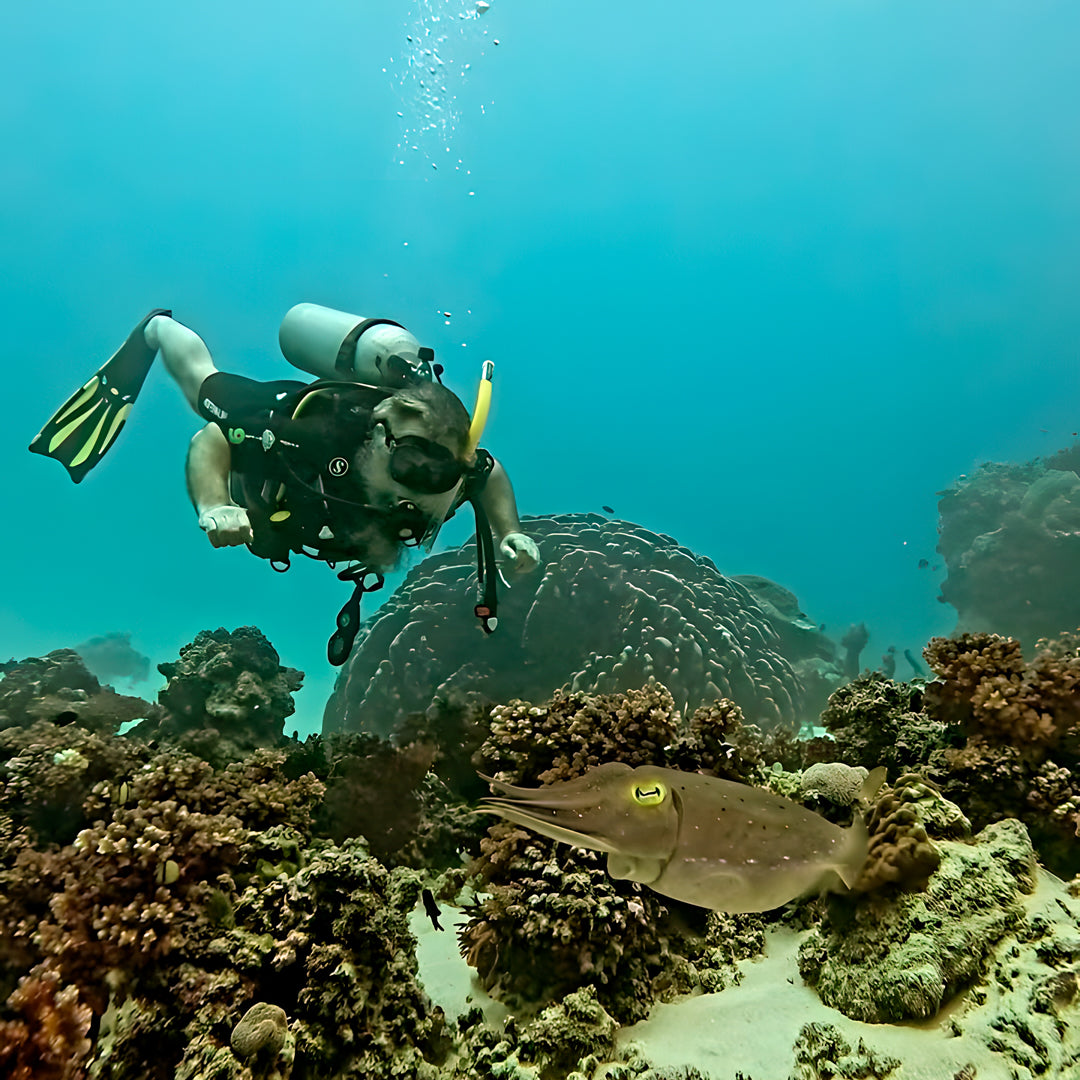 Beginner Scuba Diver Course in Port Douglas