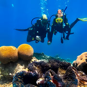 Introductory Scuba Diving in Port Douglas