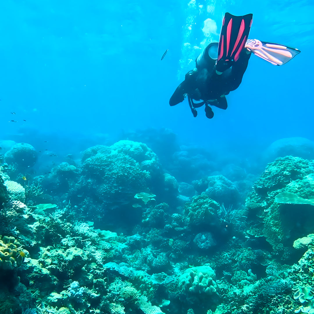 Introductory Scuba Diving in Port Douglas