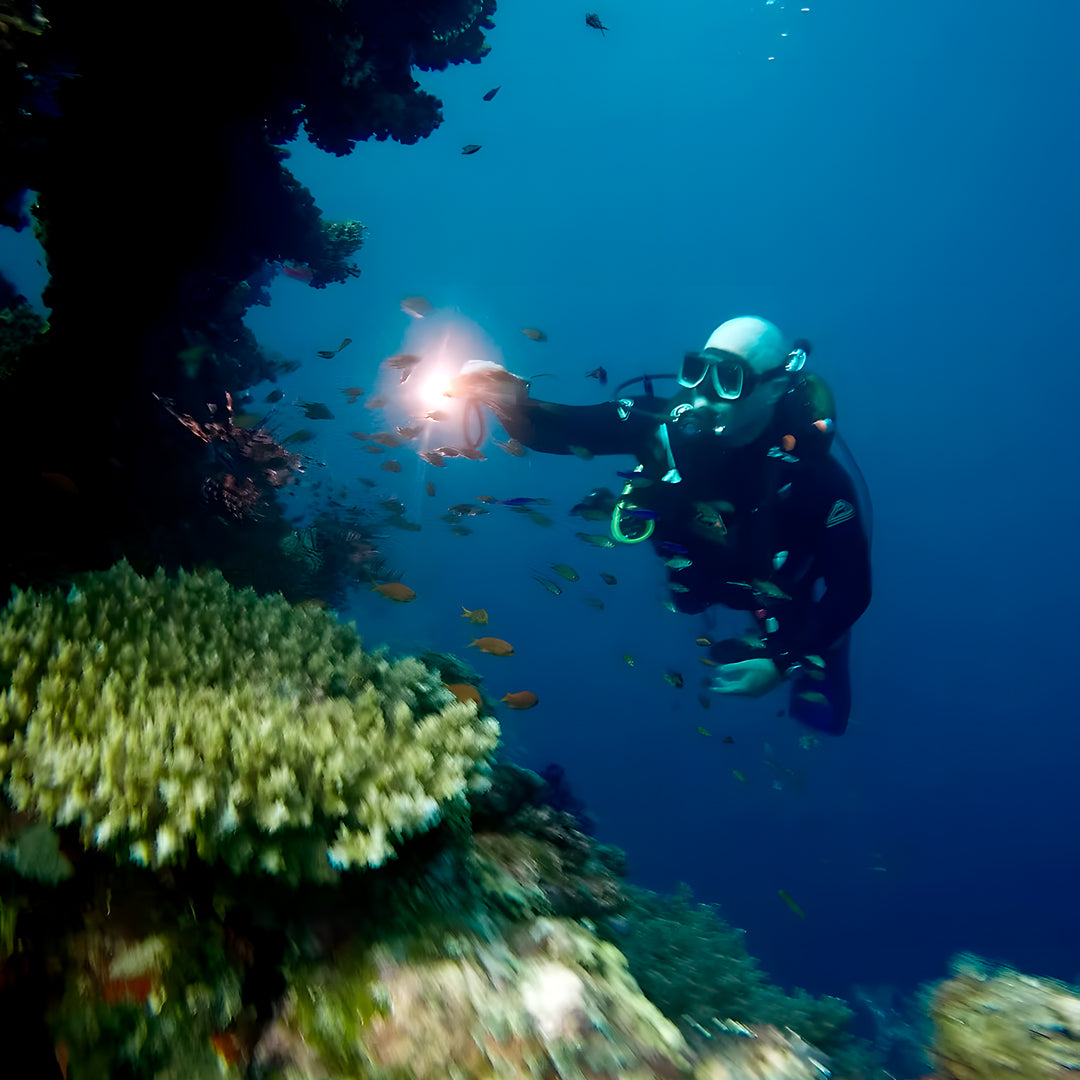 Port Douglas Fun Dive for Certified Divers