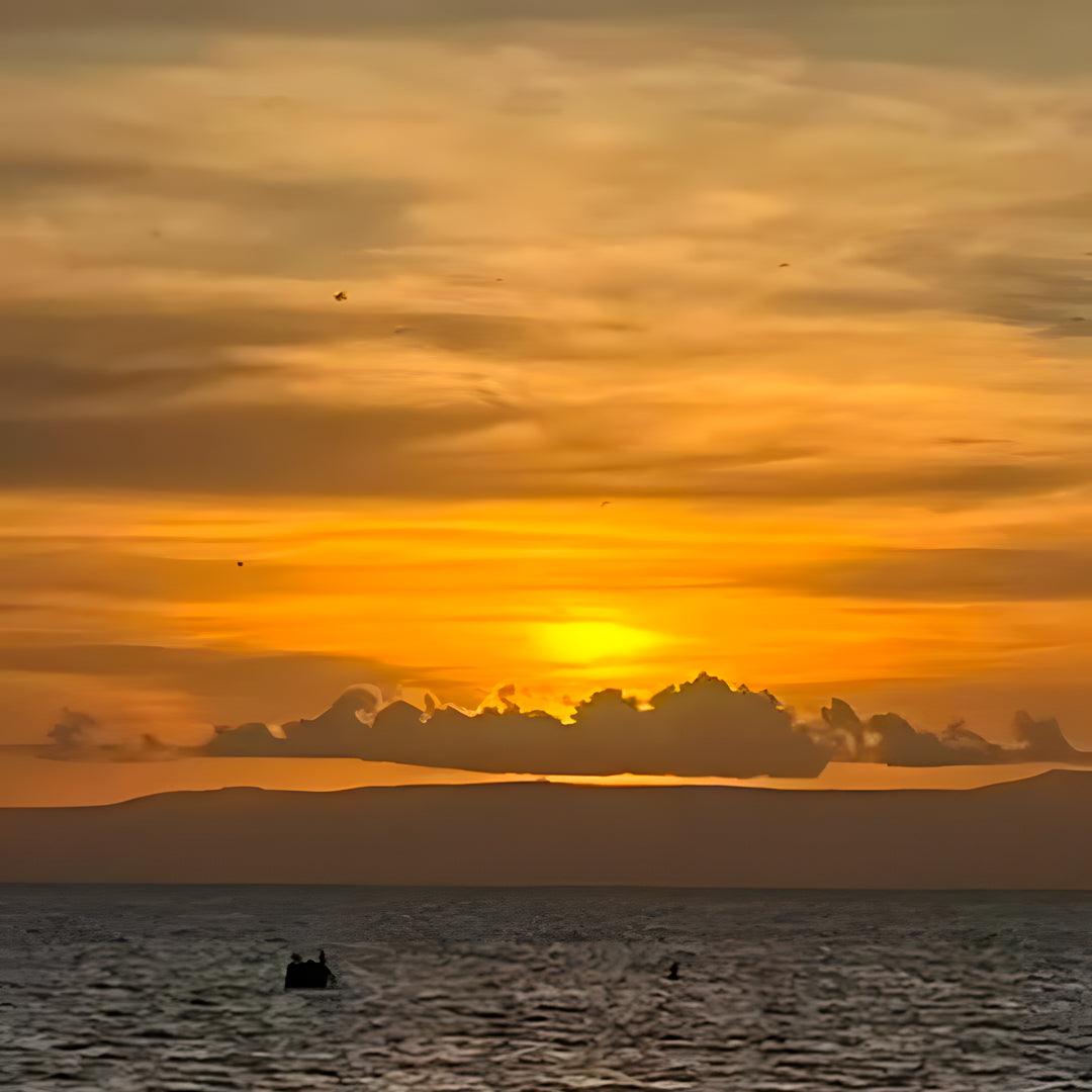 Beginner Scuba Diver Course in Port Douglas
