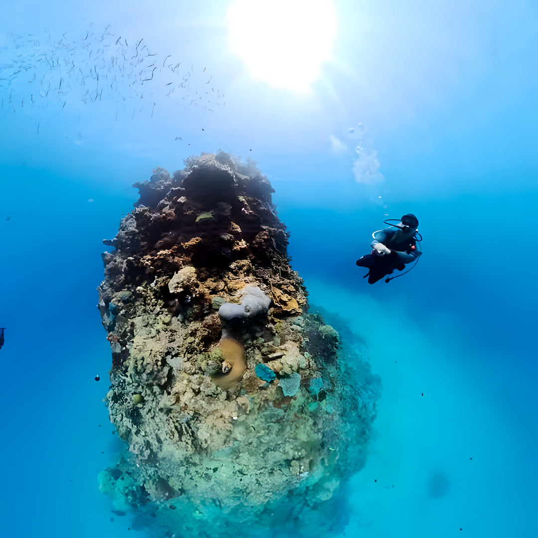 Open Water Scuba Diver Course in Port Douglas